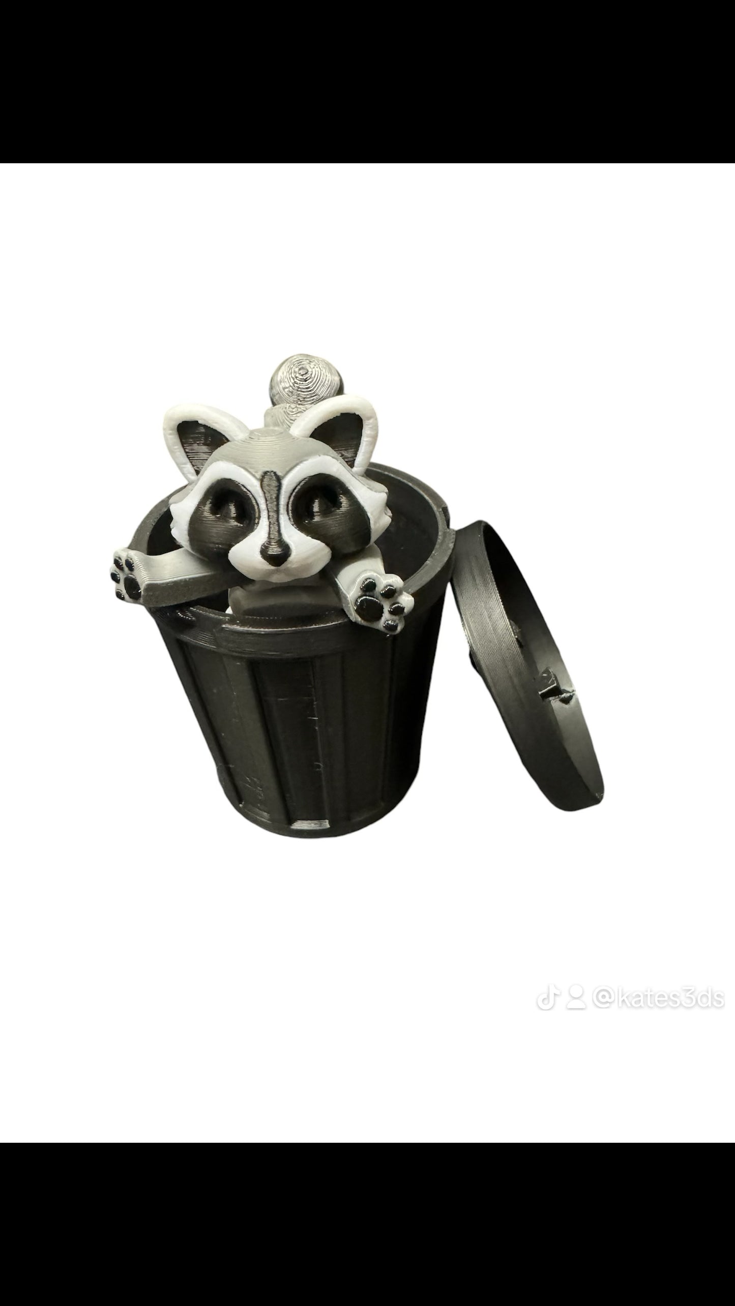 Raccoon & Bin Fidget 3D Pla Printed Articulated Toy for Stress Relief, Kids & Adults ADHD