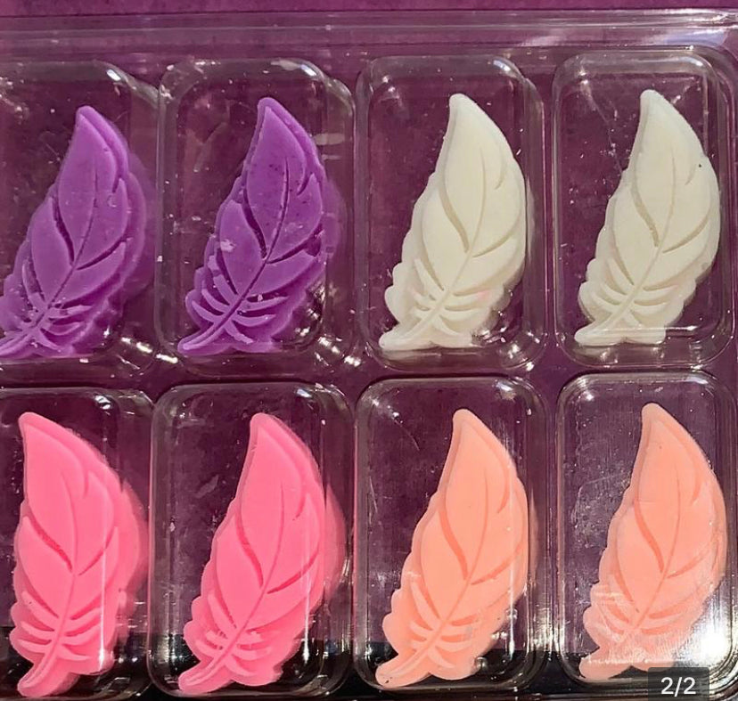 Feather Collection Gift Box Wax Melt Shape Novelty Gift for that Something Different